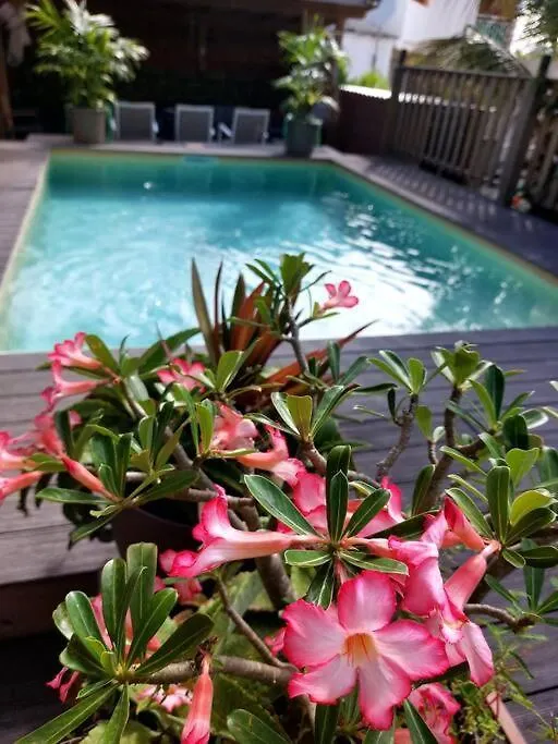 Apartment Appart Lumineux En Hauteur Avec Piscine Saint-Francois  Guadeloupe